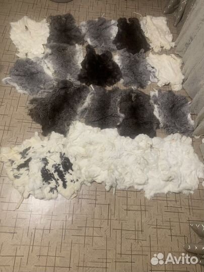 Шкурки кролика