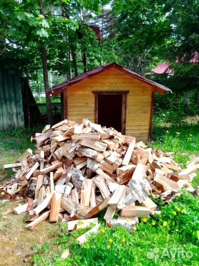 Дрова качественные от 1 куба любых пород древесины