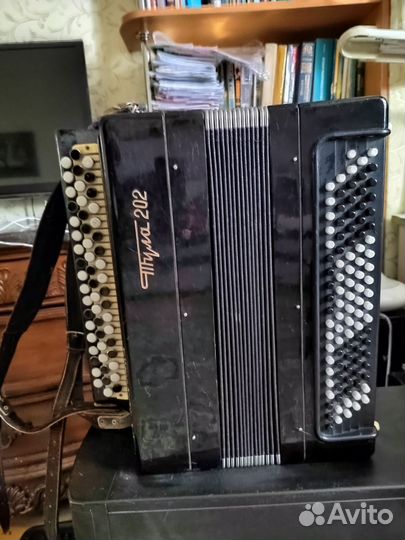 Баян тула 202