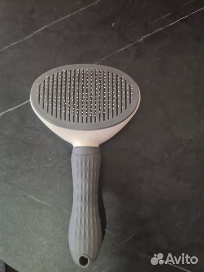 Принадлежности для собаки