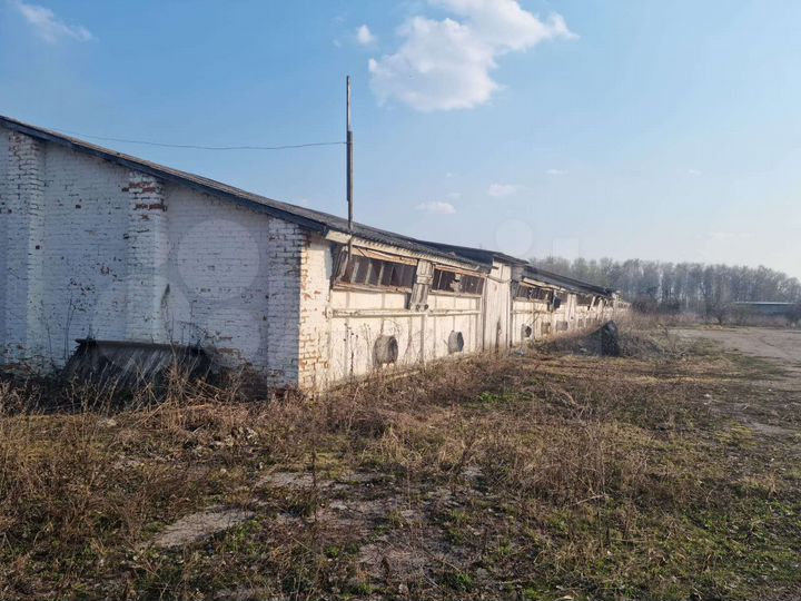 Склад, 1500 м²