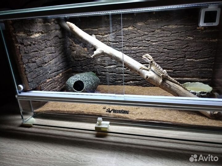 Террариум для рептилий