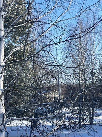 Дача 35 м² на участке 2 га