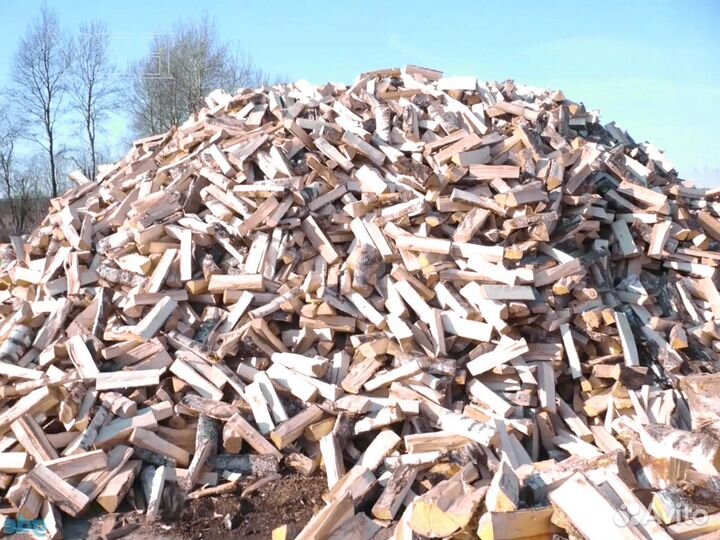 Дрова березовые колотые