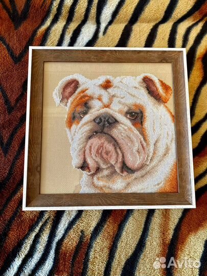 Английский бульдог вышивка крестиком