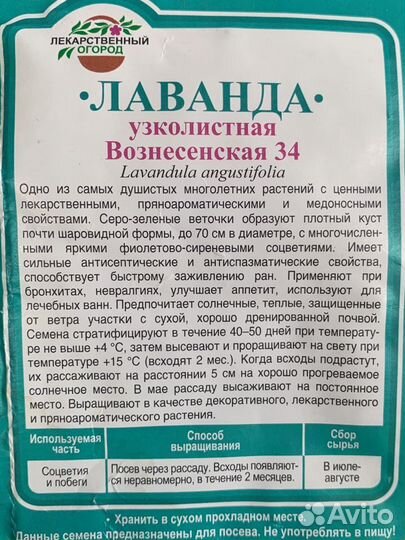 Лаванда узколистная Вознесенская 34