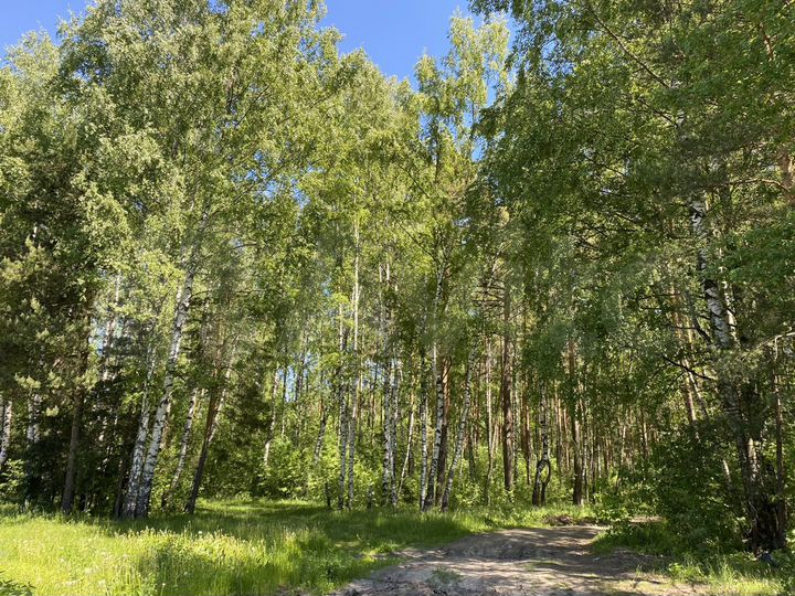 Участок 20 сот. (ИЖС)