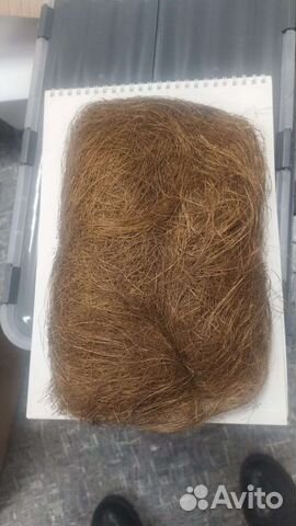 Сезаль сизаль