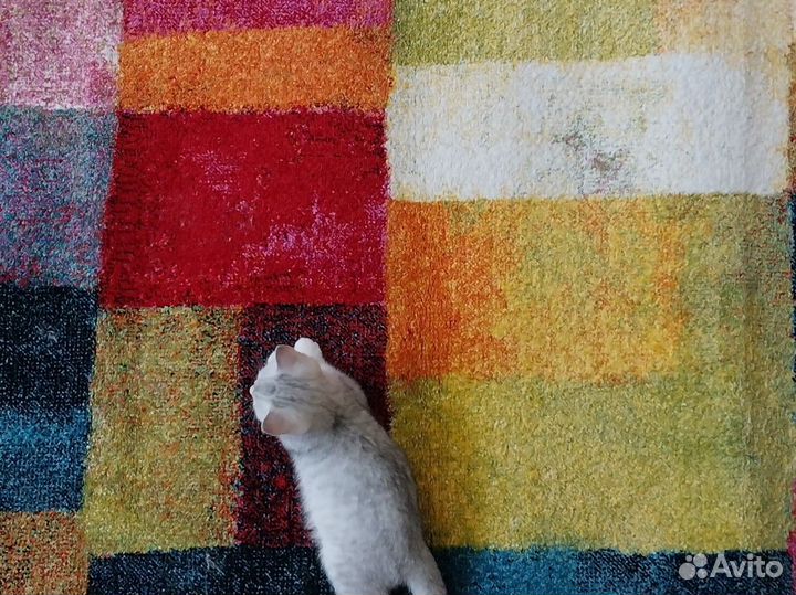 Детский ковер