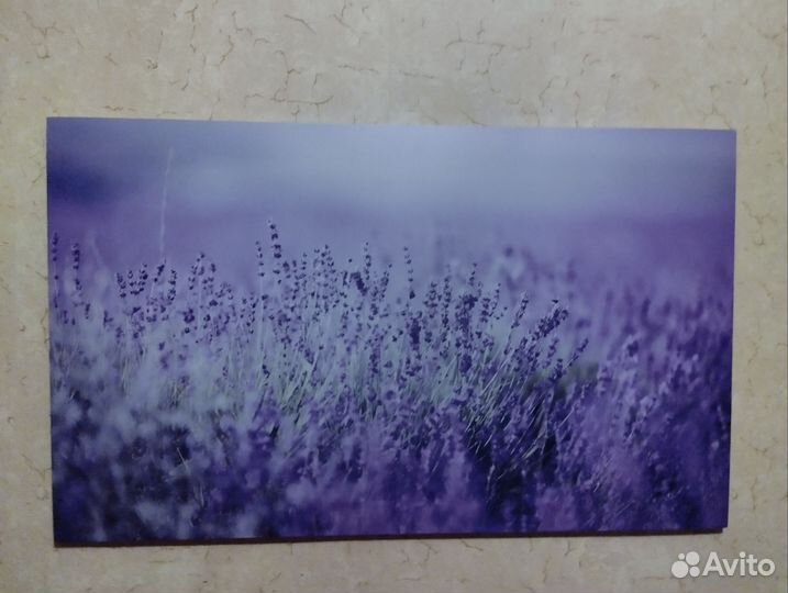 Большая картина Лаванда 60:100