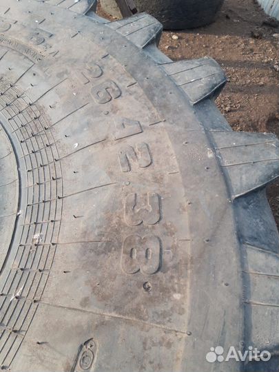 Белшина 29.5/75 R25