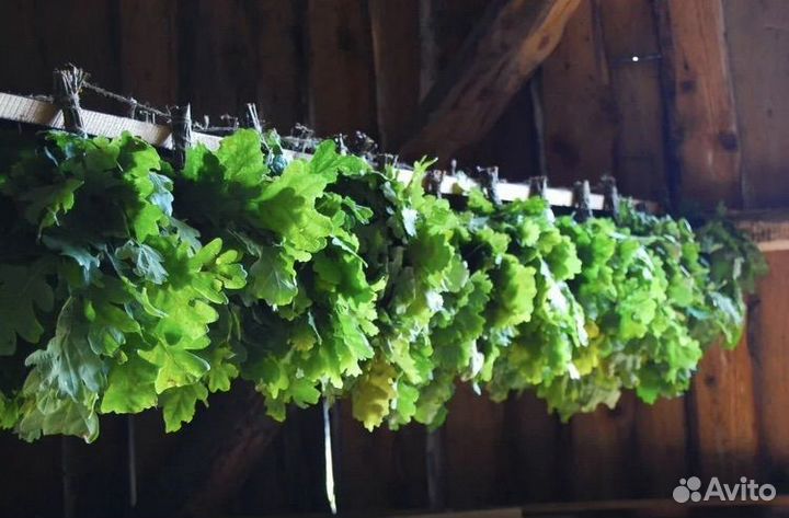 Веники дубовые