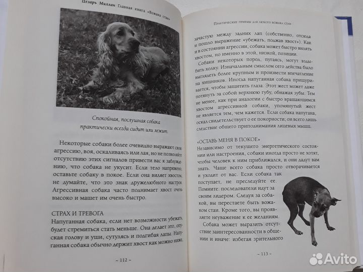 Главная книга вожака стаи Цезарь Миллан