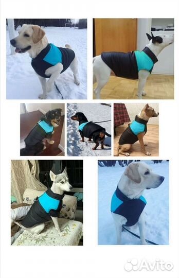 Жилет утеплённый на собаку новый