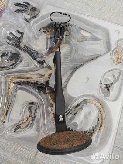 Hot Toys Predalien AvP