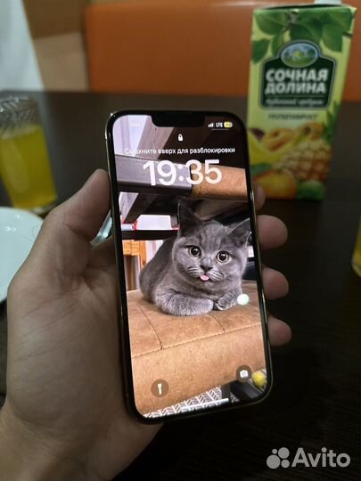 Iphone13 pro 256gb Gold