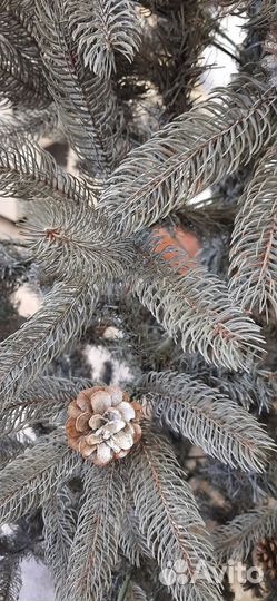 Елка искусственная литая + пвх бу