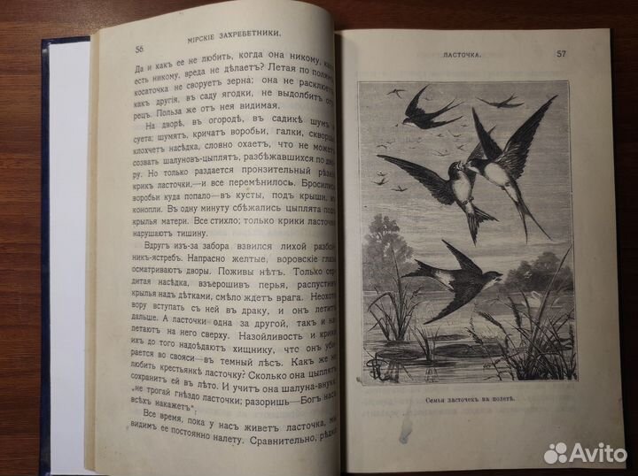 Богданов М.Н. Мирские захребетники