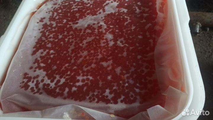 Икра красная оптом и в розницу