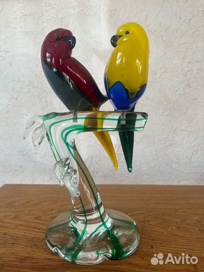 Неразлучники Colorato