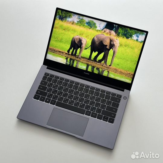 Ультрабук Huawei Matebook D14 (8/512, Vega10)