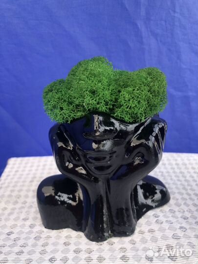 Стабилизированный мох для прдедок