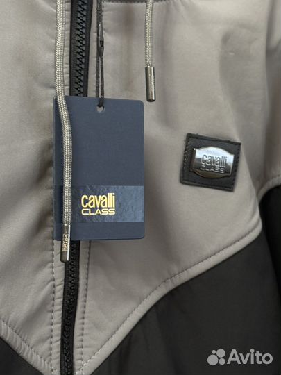 Ветровка утепленная Cavalli Class