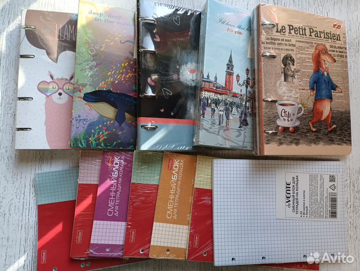 Тетрадь на кольцах a5 + сменные блоки