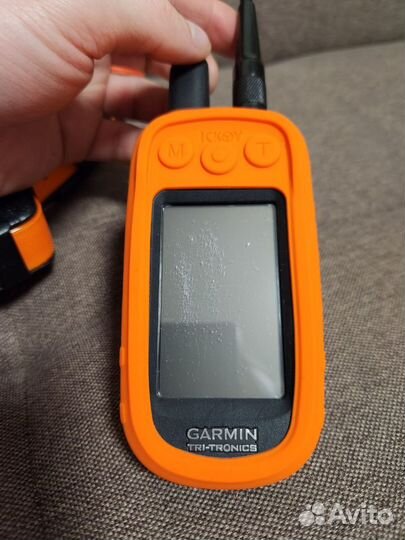 Навигатор Garmin Alpha 100 с ошейником