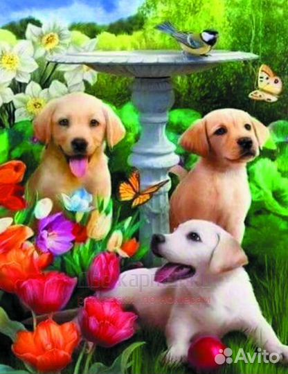 Алмазная мозаика 40x50 Довольные щенки в саду сред