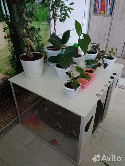 Домик для собаки