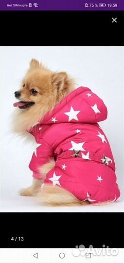 Комбинезон для собак