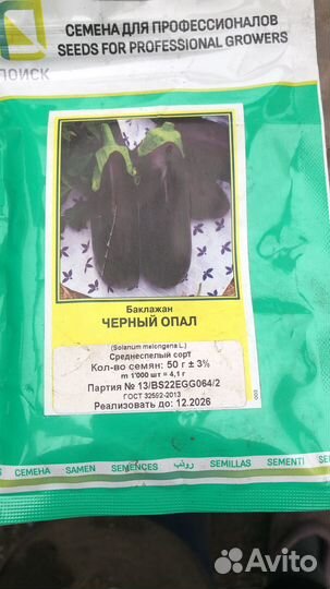Рассада баклажан