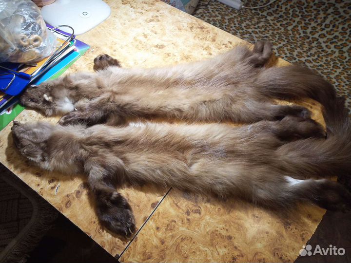 Шкурки 2 шт целиком. Цена за обе