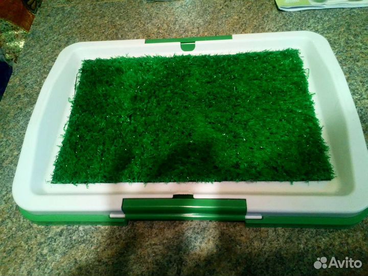 Лоток для собаки