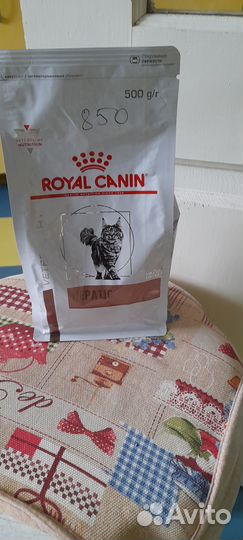 Сухой корм для кошек