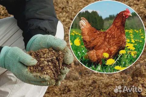 Куриный помет в мешках