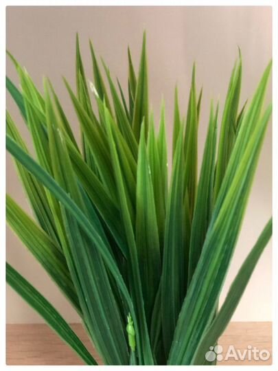 Искусственные растения в кашпо