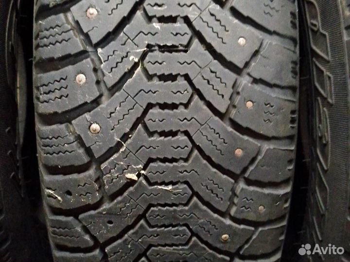 Cordiant Polar 185/70 R14