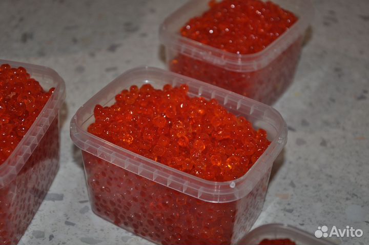 Икра красная Камчатка 2023