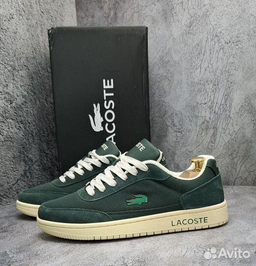 Мужские Кеды Lacoste