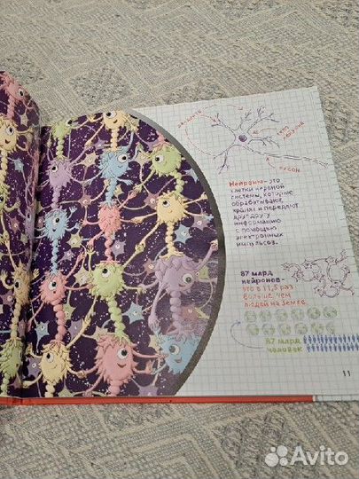 Андрей Курпатов Как устроен мозг детская книга