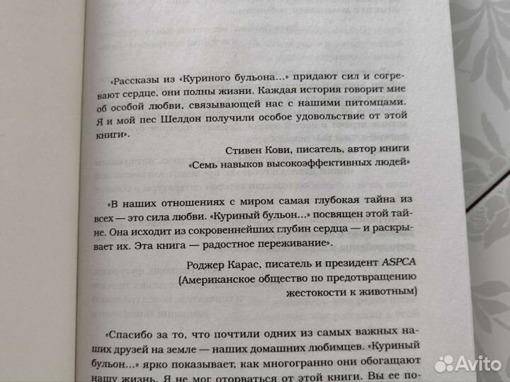 Куриный бульон для души