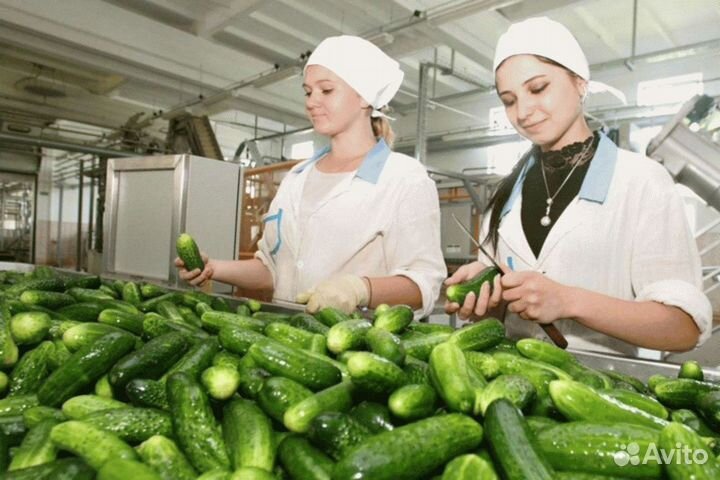 Упаковщица Вахтой в консервный завод Премия