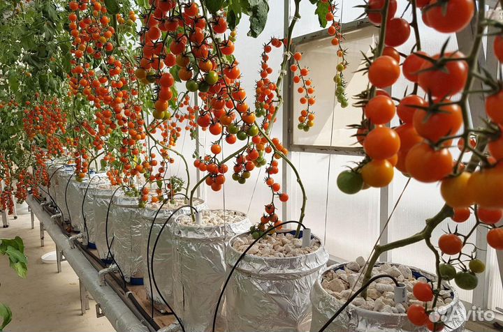 Оборудование для гидропоники. Аквариумное