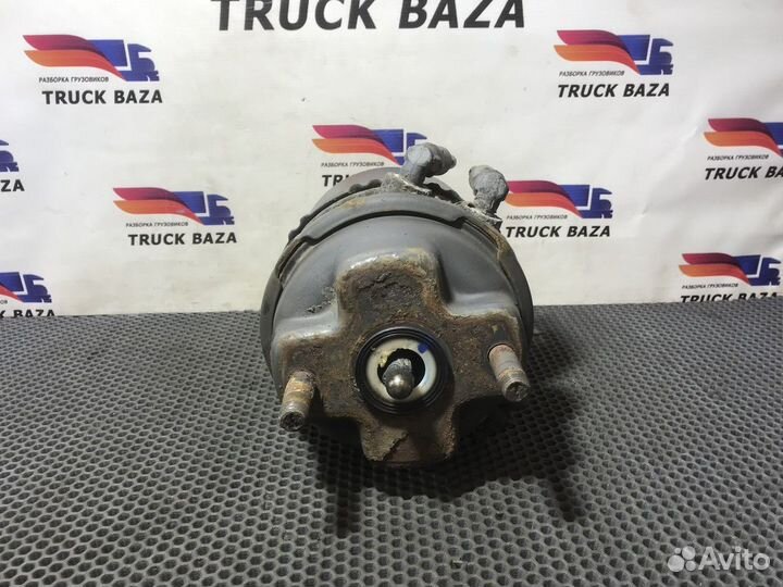 20522030 Энергоаккумулятор тормозной Volvo FH