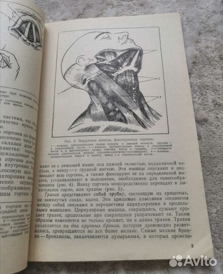 Менабени. Методика обучения сольному пению