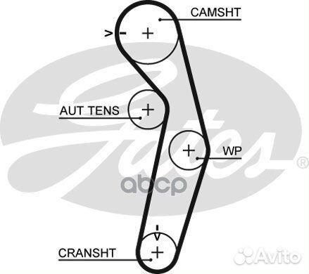 Ремень грм gates 5445XS 5445XS Gates
