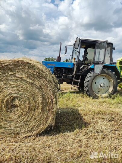 Сено луговое 2023 г. В наличии. доставка