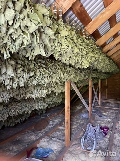 Веники дубовые